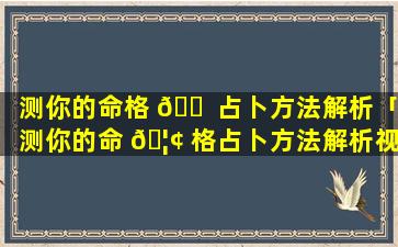 测你的命格 🐠 占卜方法解析「测你的命 🦢 格占卜方法解析视频」